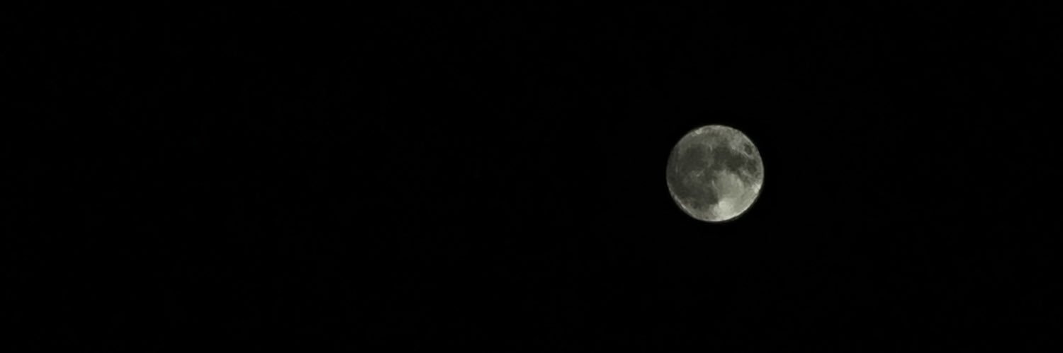 aycaterziogluu's profile banner image