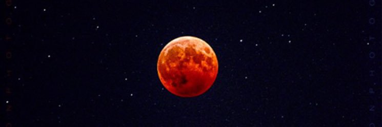 Roy_Talks's profile banner image