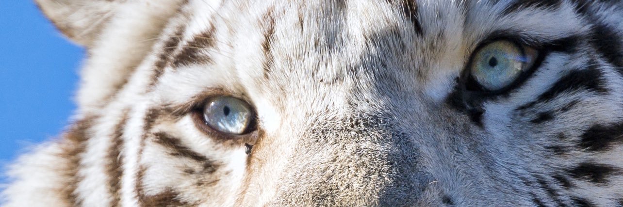_environeng's profile banner image