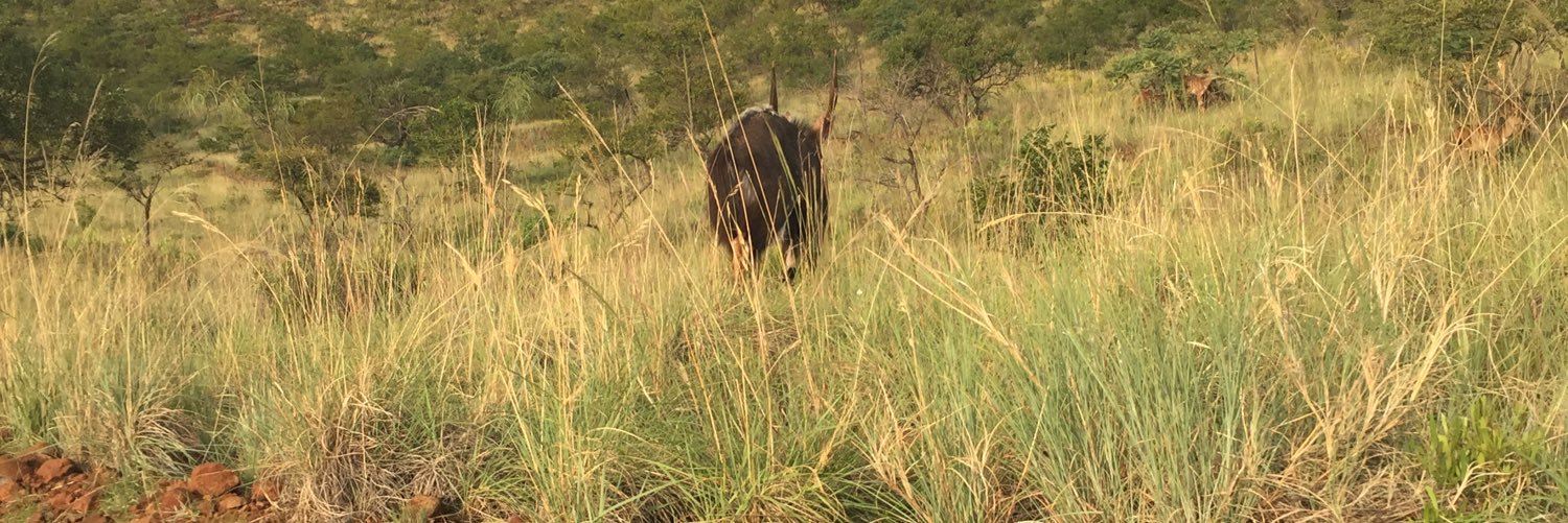 Tumza_da_guy's profile banner image