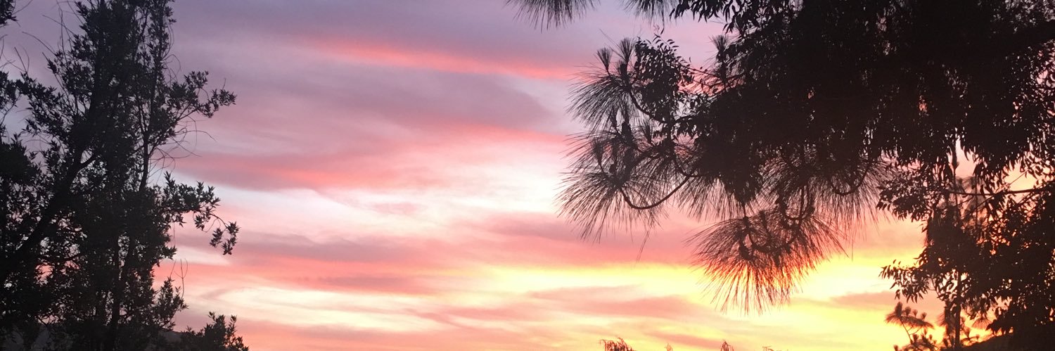warriorqueen143's profile banner image
