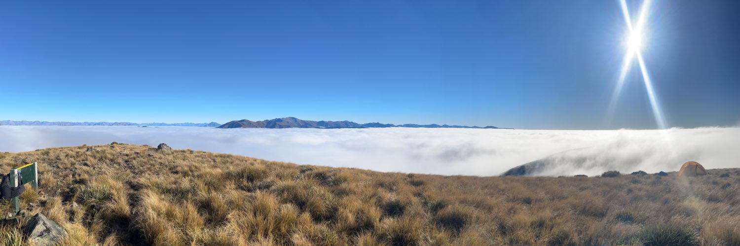 Prof Jo James banner