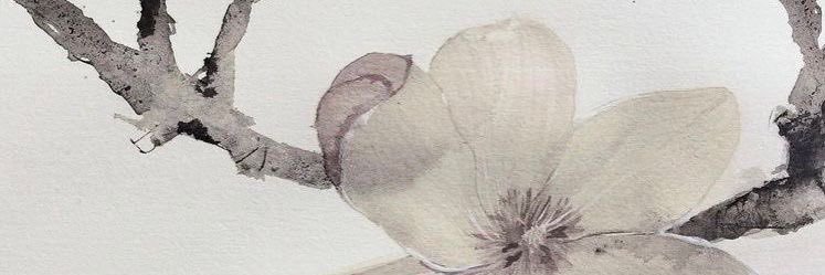 flo banner