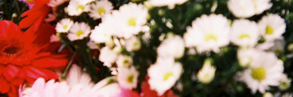 KacieCone's profile banner image