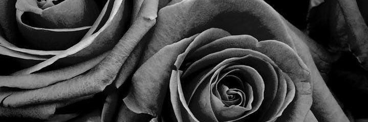 NicolaaThompson's profile banner image