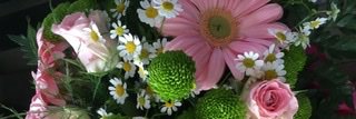 flowerpowerkat's profile banner image