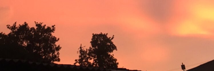 grannyelaaa's profile banner image