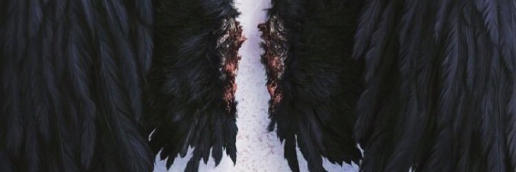 tabithafoster95's profile banner image