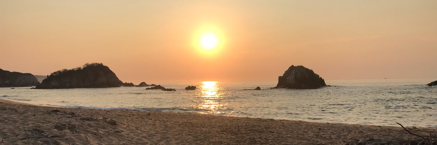 Penny Beaudry banner