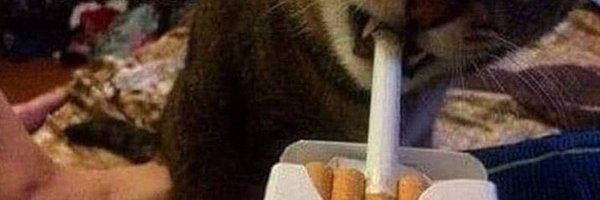 fofriii Profile Banner