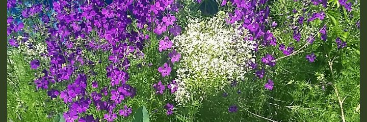 sltn8375's profile banner image