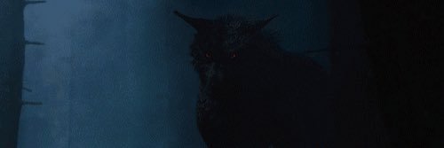 ShadowTheBrutal's profile banner image