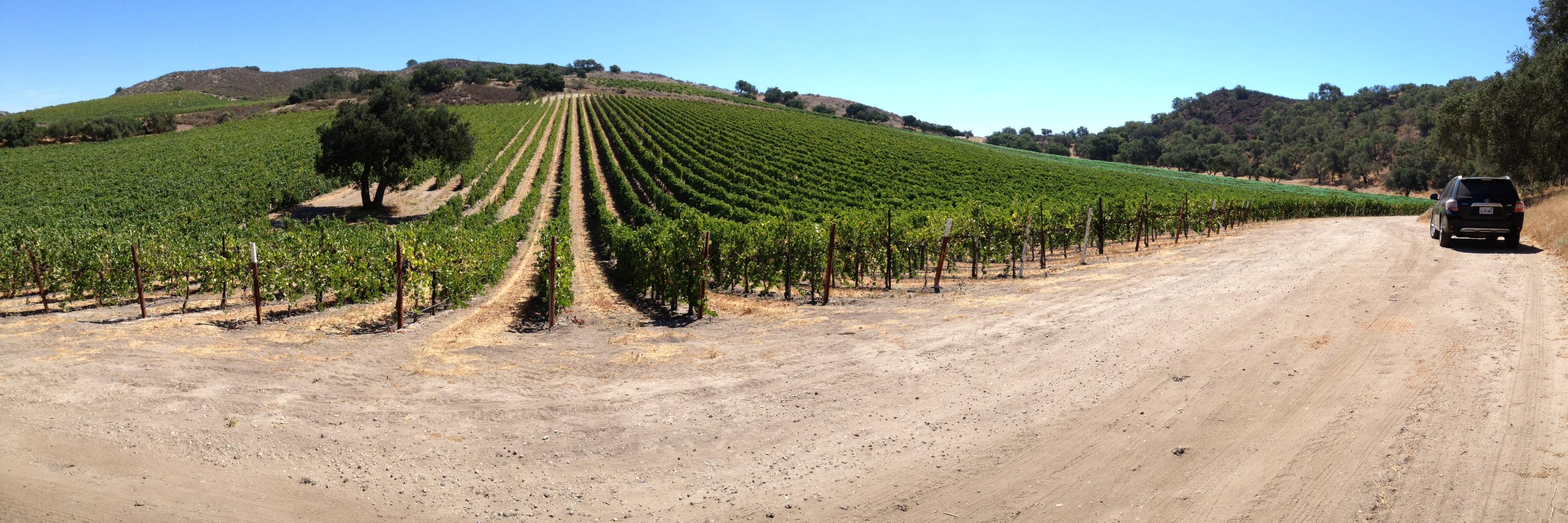 Silverwines's profile banner image