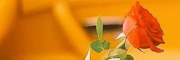 Ruzan2072's profile banner image