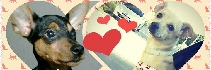 Nicebarata's profile banner image