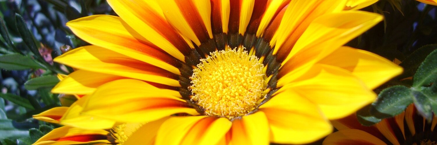 BuDuS_it's profile banner image