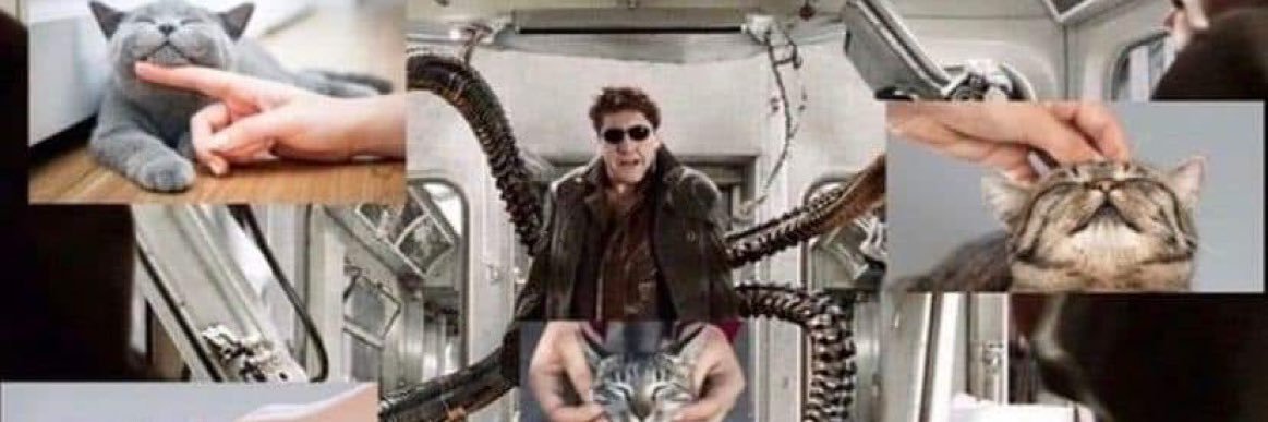 🦀daddy long legs🦀 banner