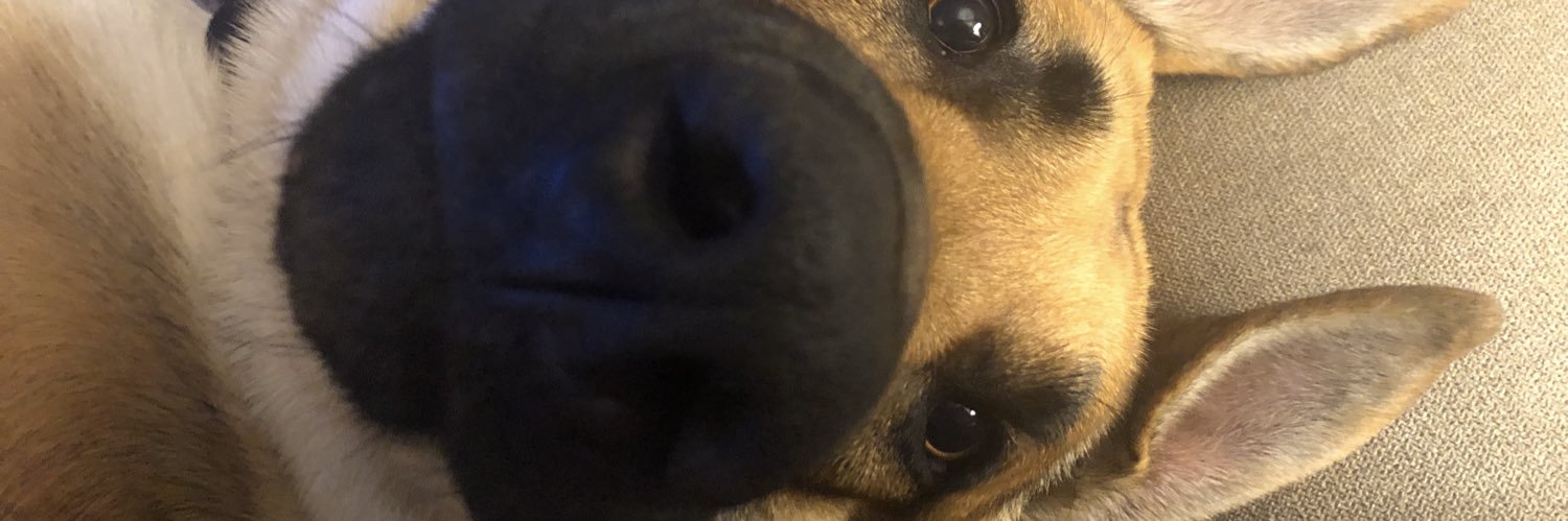 RespectedMom's profile banner image
