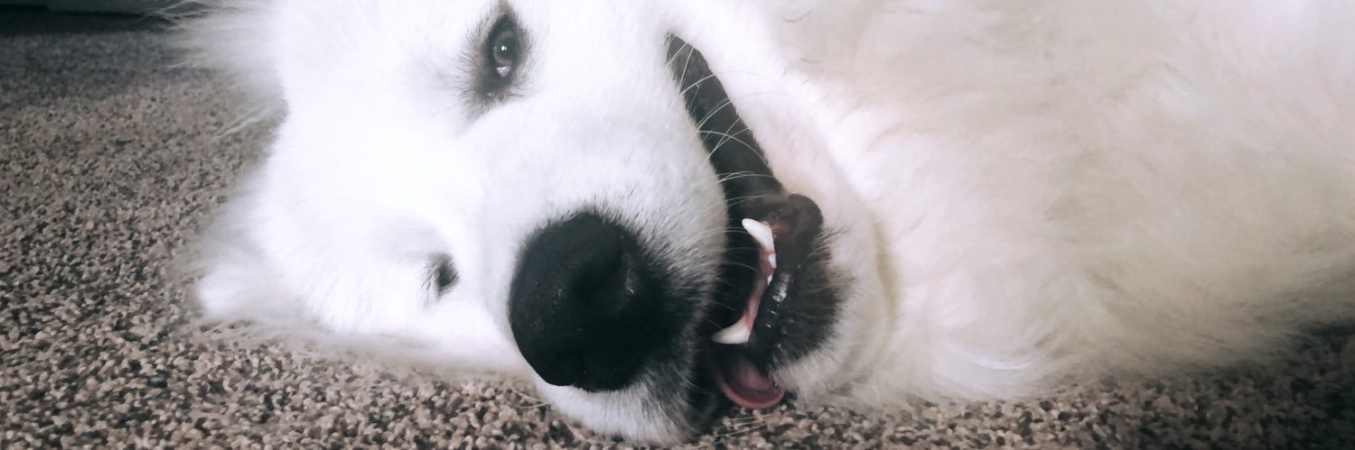 CaylaBone's profile banner image