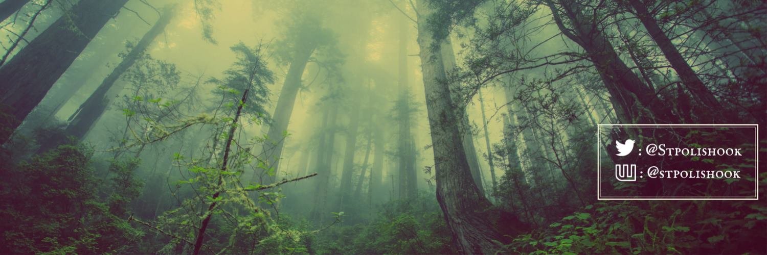 Stpolishook's profile banner image