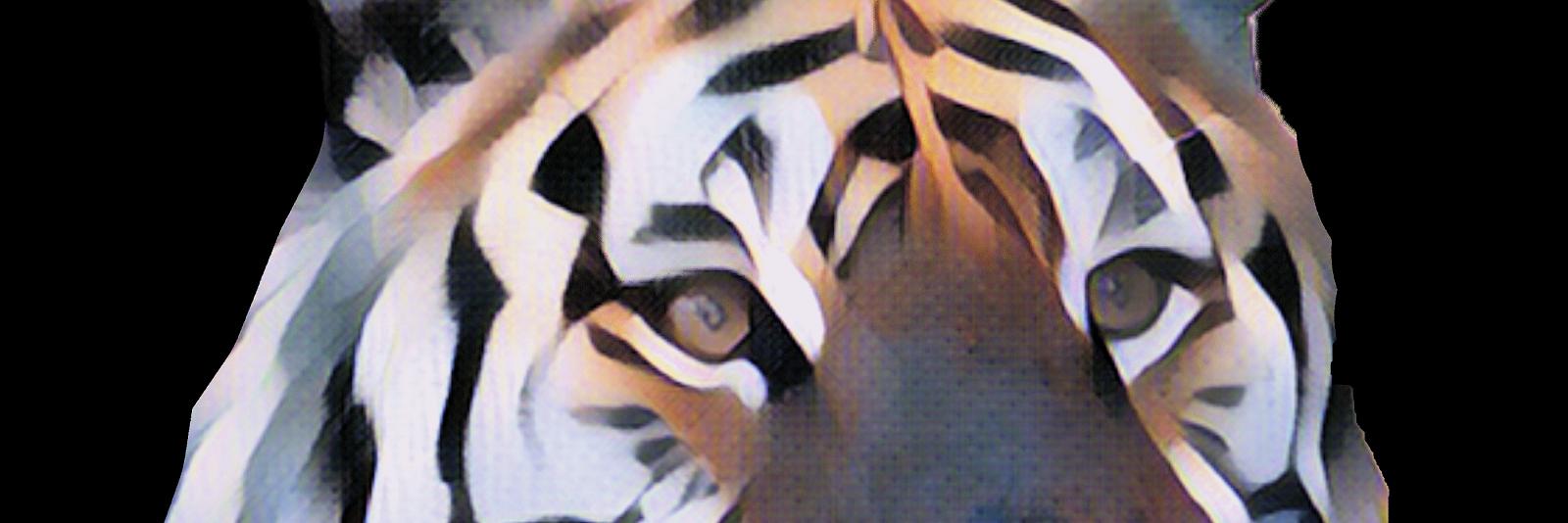 rwmtiger's profile banner image