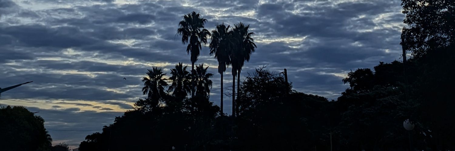 ColoBena's profile banner image