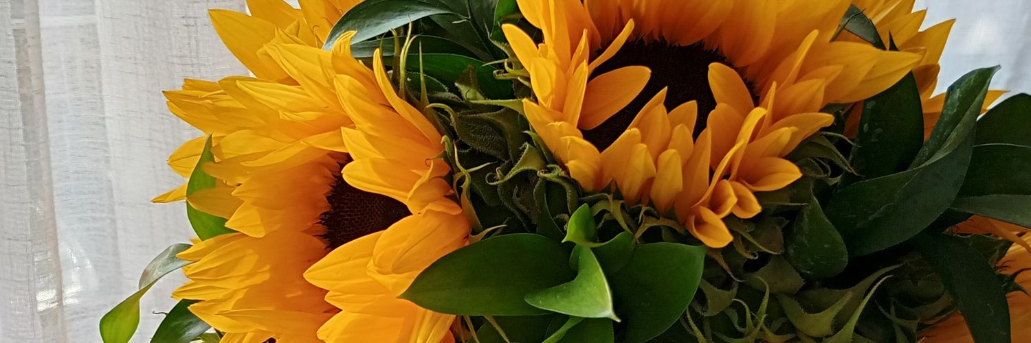 Amy_Slnder23's profile banner image