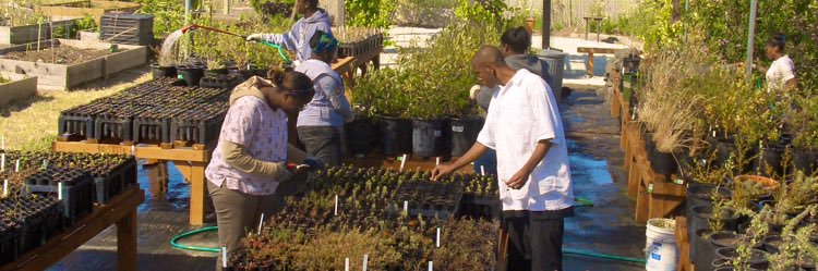Woodard & Curran Foundation banner