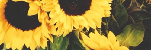 CasseroleAnne's profile banner image