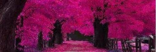 Tepuedo_decir's profile banner image