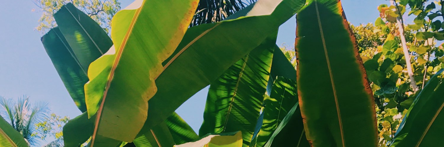sojolovesyou's profile banner image