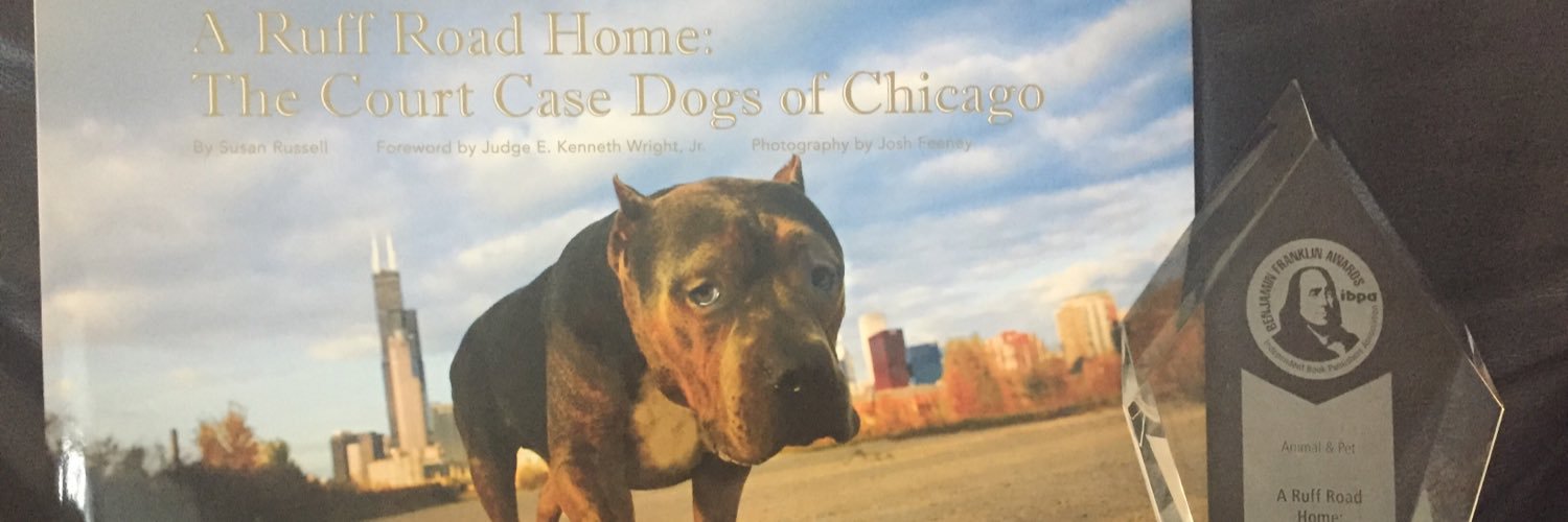 Safe Humane Chicago banner