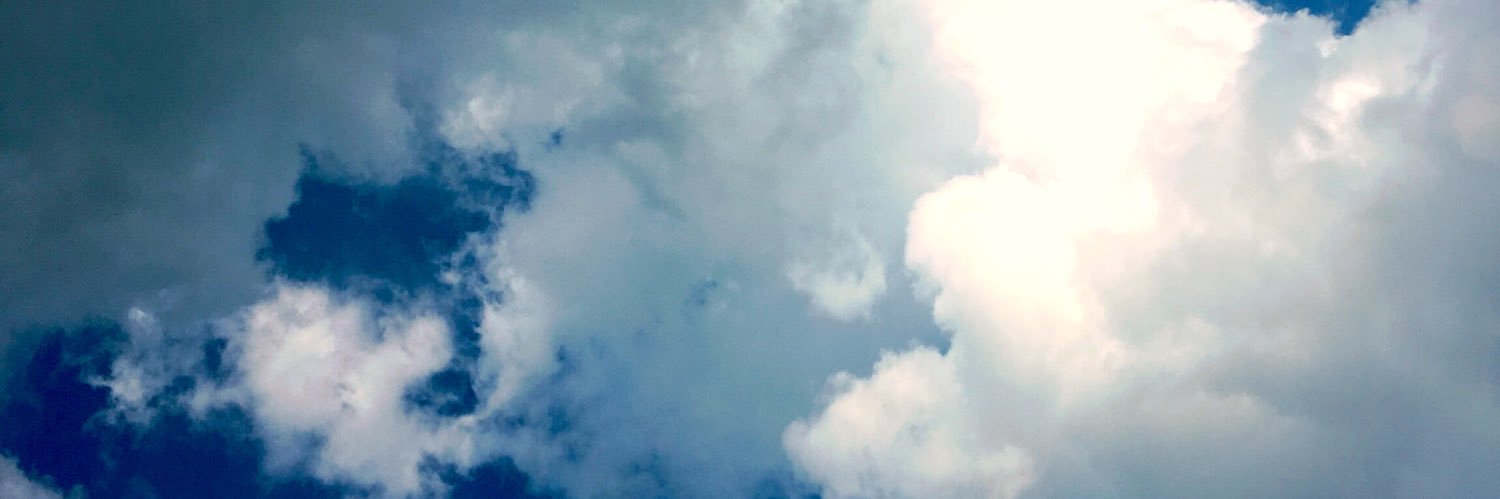 Emily_Florence_'s profile banner image