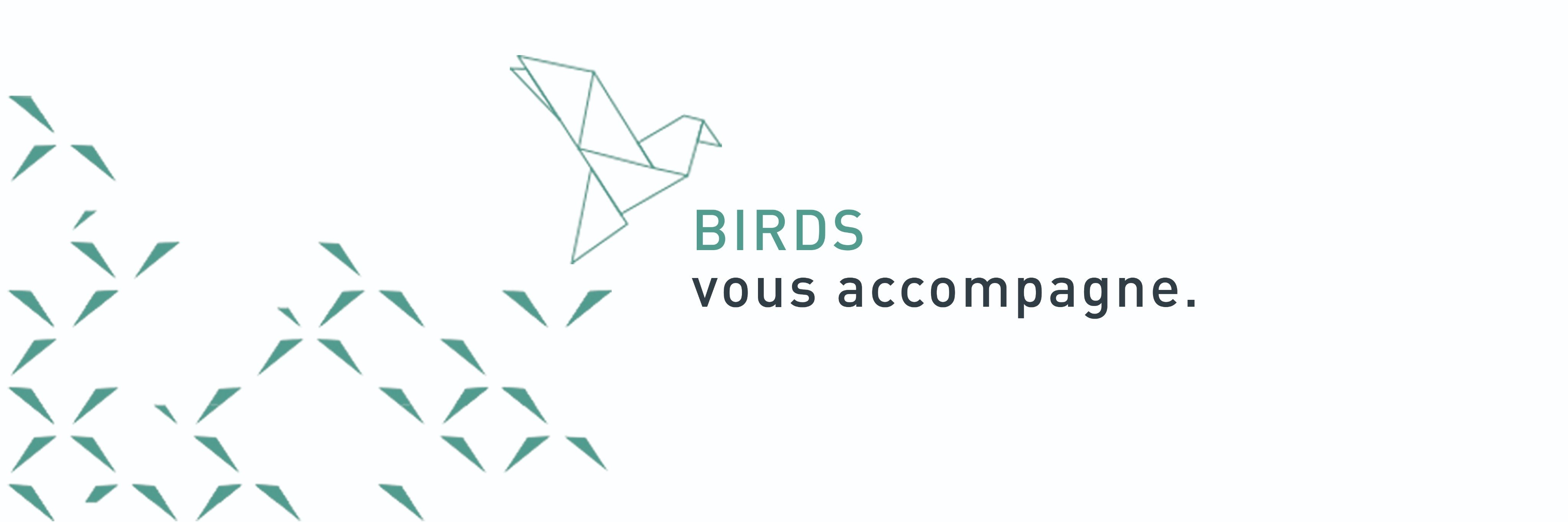 BIRDS Conseil banner