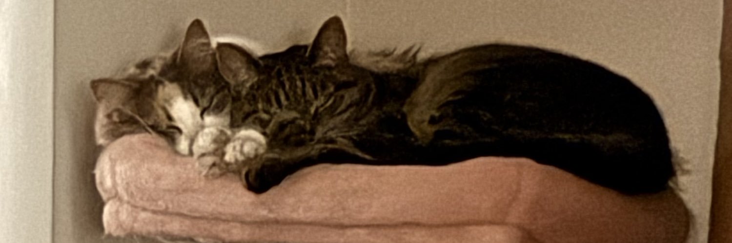 savanafcosby's profile banner image