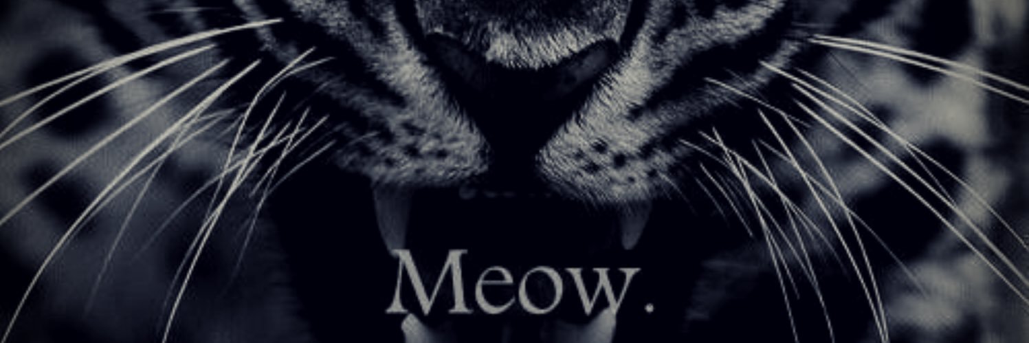 migeldub's profile banner image