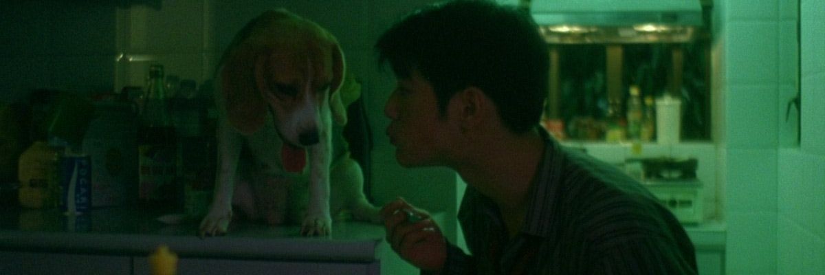 fleurographs's profile banner image