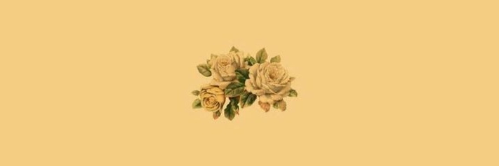 belezanosalto's profile banner image