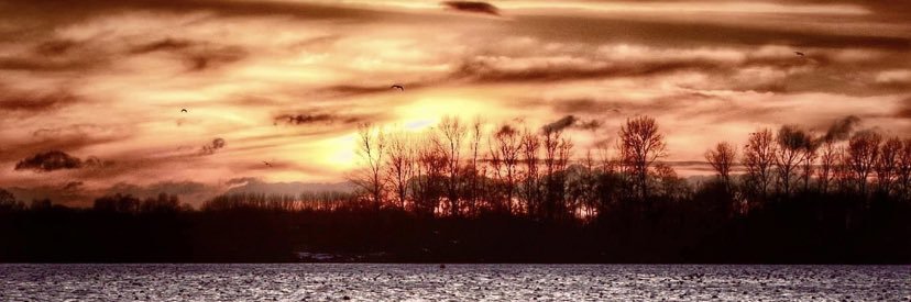 Andrea Tipper banner