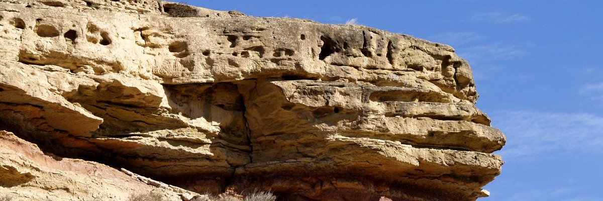 Francesc Guiu Turmo banner