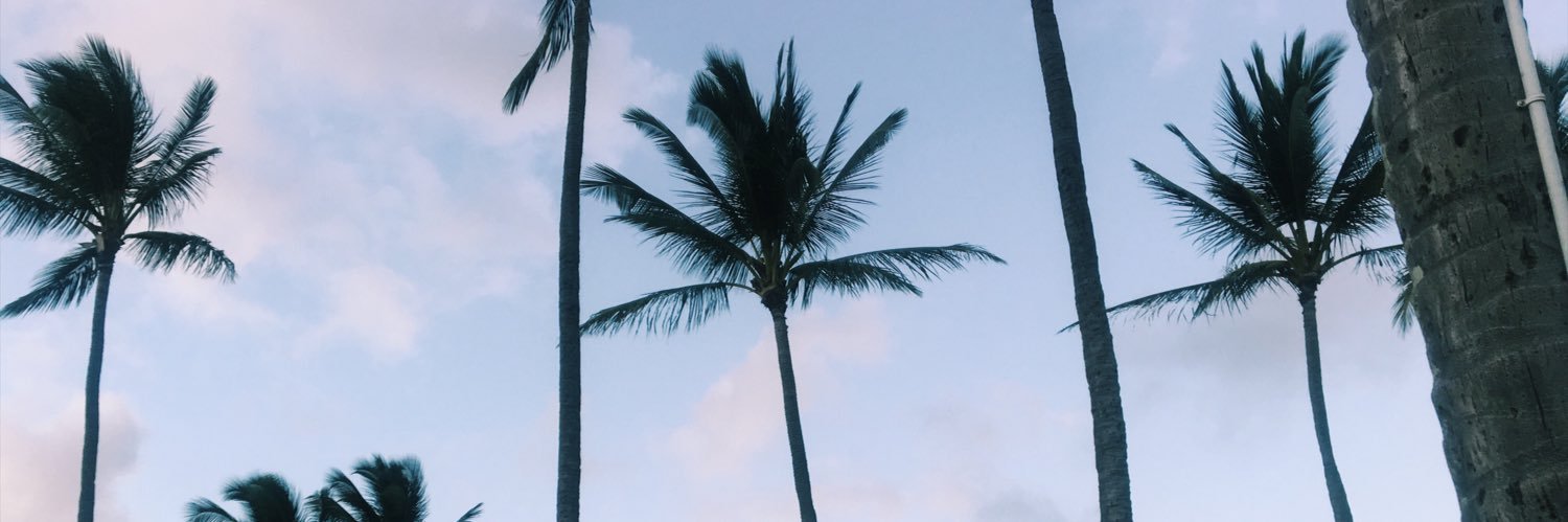 BaylieConrad's profile banner image