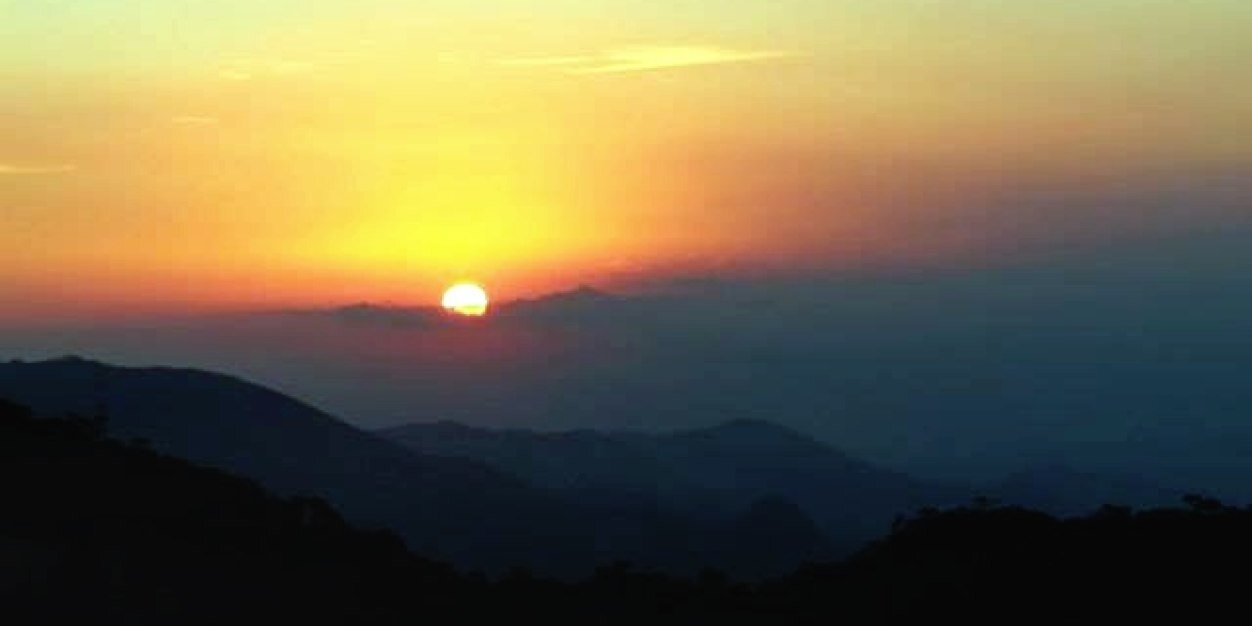 caroferes's profile banner image
