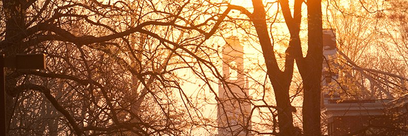 Amy Shaiman (she/her) banner