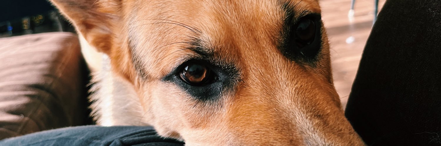 sophiesanders07's profile banner image