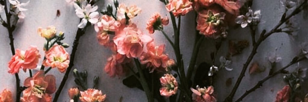 ashlaurenb's profile banner image