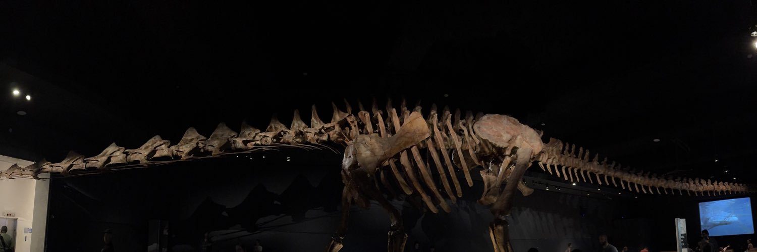 katanasaurus's profile banner image