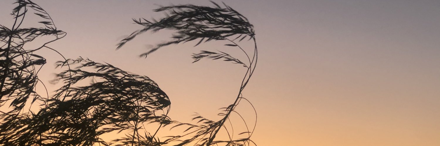 TheSpiritOfHell's profile banner image