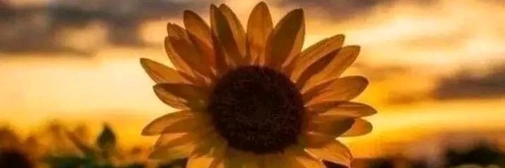 AkrRuiz's profile banner image
