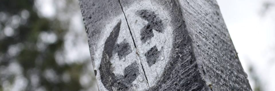 Brunogdlt's profile banner image