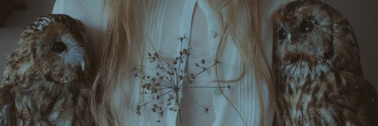 raxeiras's profile banner image